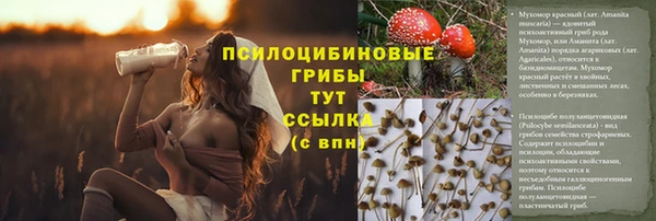 первитин Инта