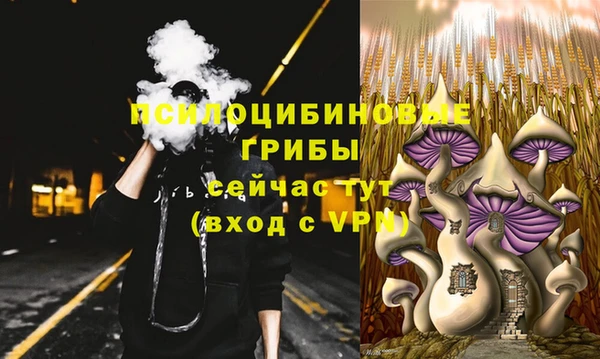 круглые Инсар