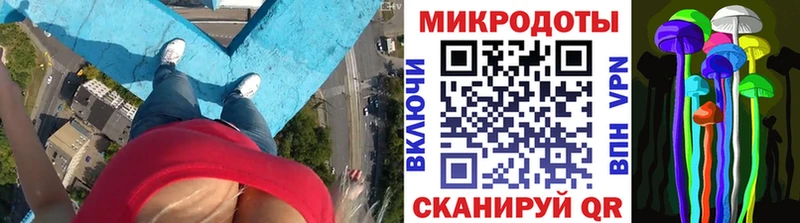 Псилоцибиновые грибы Psilocybe  Купить где  Солнечногорск 