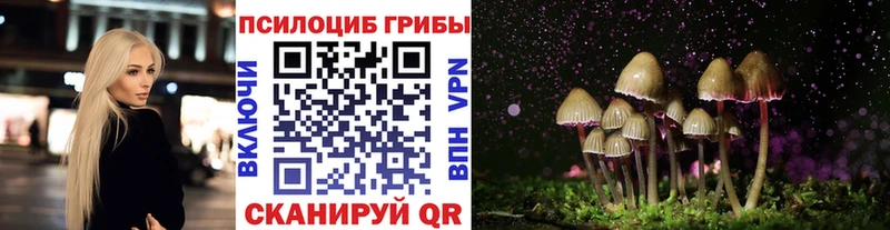 Галлюциногенные грибы Psilocybe Солнечногорск
